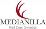 Medianilla Red Deer Genetics